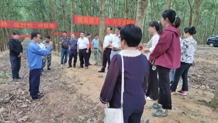 全國割膠冠軍張健給各單位學(xué)員做標(biāo)準(zhǔn)化膠園建設(shè)及割膠技術(shù)的經(jīng)驗介紹。.jpg