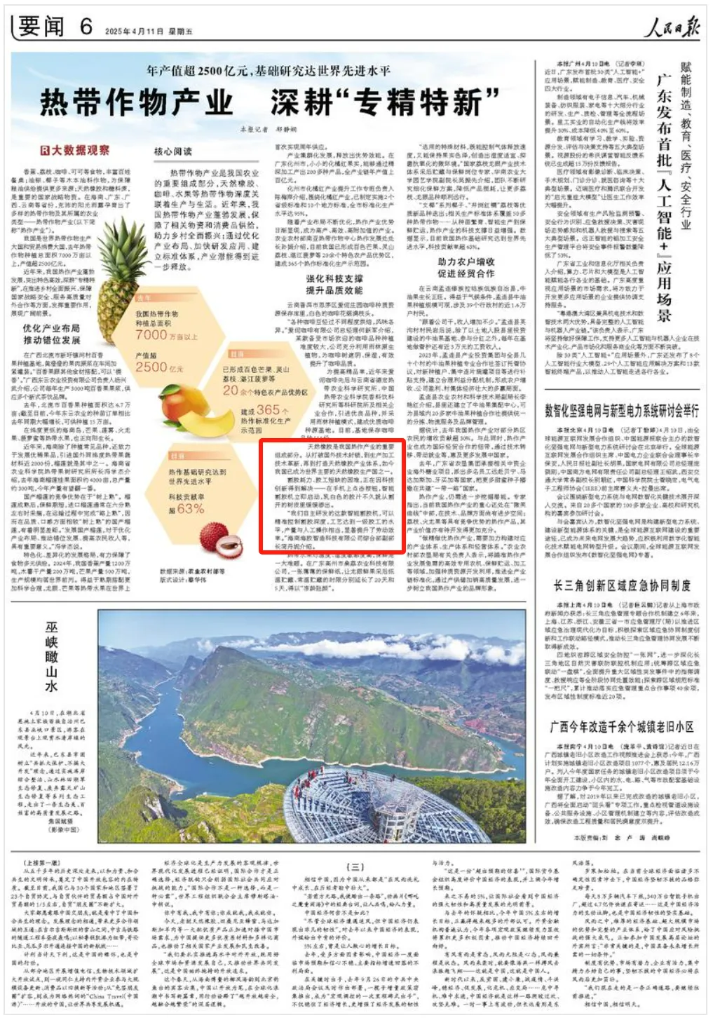 人民日報報道海南橡膠研發(fā)成果：割膠耗力、膠工短缺的困難，正在因科技創(chuàng)新得到解決
